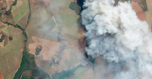 Imagens de satélite mostram terra destruída por queimadas no interior de São Paulo; veja