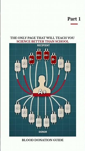 Blood Donation Guide: Donor & Recipient 🩸Part 1