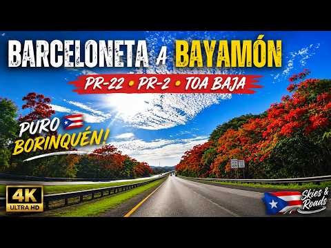 🇵🇷 ¡Así es el recorrido que miles de puertorriqueños hacen TODOS los días! | Barceloneta a Bayamón