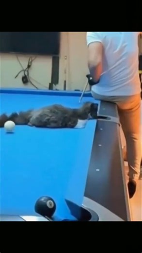 2.2K views | Let your life be filled with endless laughter and joy!  #EndlessLaughter #JoyfulLiving #HappyLife #GiggleForever #JoyfulJourney | Cartoon Show 1 | Facebook