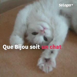 25K views · 67 reactions | Vous êtes locataire, désirant acheter une...