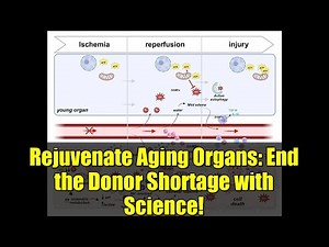 Rejuvenate Aging Organs: End the Donor Shortage with Science!