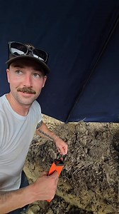 49K views · 758 reactions | Here’s the updated post with the long,...