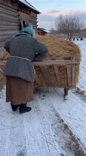 Grandma’s Wild Sled Push Across the Farm