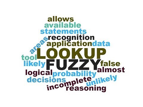 Fuzzy Lookup