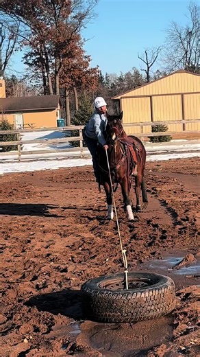 Effective Tie Down Techniques for Calf Roping