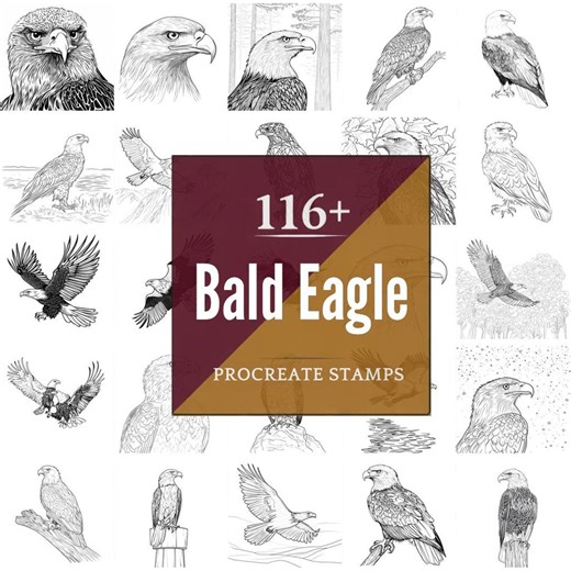 Bald Eagle Procreate Brushes & PNG Bundle | 116+ Designs | Instant Digital Download - Etsy