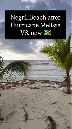 View of Negril Beach after Hurricane Melissa VS. now from Charela Inn, Negril 🇯🇲 📽: @charelainn . . . #hurricanemelissa #hurricanemelissajamaica #prayforjamaica #jamaican #jamaica #jamaicans #negriljamaica #negrilbeach | Jamaicans A Yaad & Abroad.