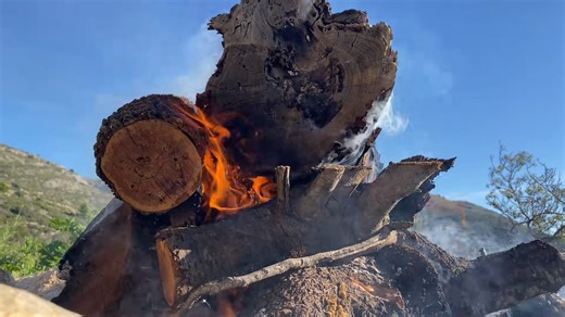 Cooking wild meat underground