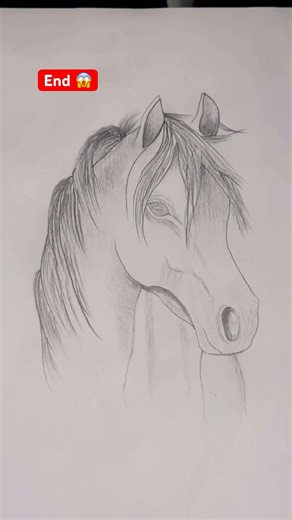 How to Draw a Horse | Pencil Sketch Art #plz_subscribe_my_channel #shortsfeed