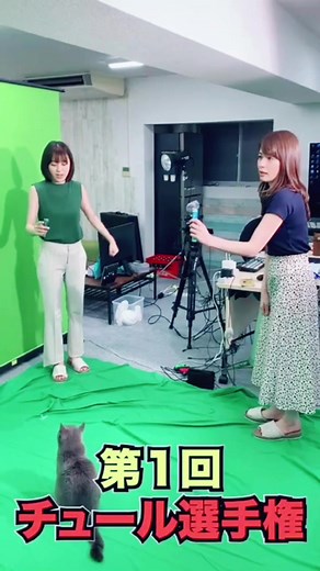 チャオチュール選手権ってなに？#宇内梨沙 #若林有子#ゲーム実況 #女子アナ #チュールチュール #チャオチュール #猫
