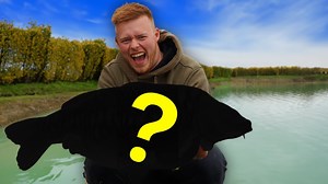 Can You Really Catch a Giant Fish in 24 Hours ?