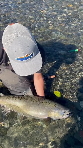 Fall days! #outfishing_bc #fishing #fishinglife #ChevroletGoodDeedsCupShuffle #tiktokindia #tiktok #bccanada #vedderriver #TikTokGGT #fraserriver #1