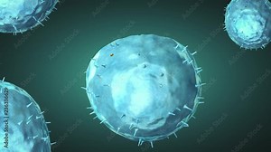 Scientific 3d illustration of the internal structure of a false colored human cell with alpha channel