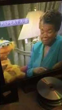 Sesame Street 25th Wonderful Years