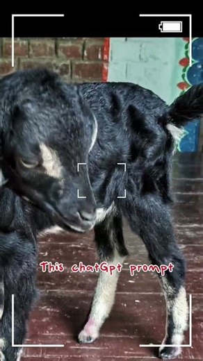 Goat Child to Goat: An Amazing Transformation! 🐐