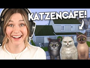 Alles muss sich ändern im KATZENCAFE! | simfinity