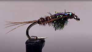How to Tie a Flashback Pheasant Tail | MidCurrent