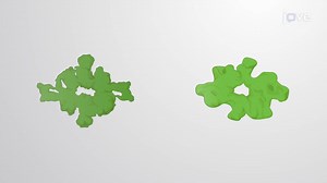 Video: mTOR Signaling and Cancer Progression