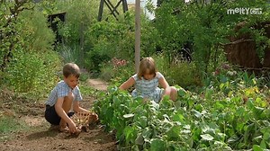 426K views · 10K reactions | Un extrait magnifique film Le Grand chemin ! | L'écran de Shōko | Facebook