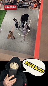 1.5M views · 7.1K reactions | BIG ILLUSION REVEALED FROM ABOVE 彩 #magic #tricks #tutorial #foryou #perte #neiperte #magician #trending #trend #fun #funnyvideos #funny #comedy #viralvideos #funnyvideo | The Mask Magic Tricks Revealed | Facebook