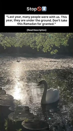 Ramadan is not guaranteed. Prepare your heart now.#ramadan #islamicshorts #reminder