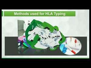 HLA typing// Human leukocyte antigen//immunology//SUBSCRIBE 🔔