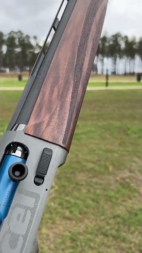 The updated Beretta A400 Excel Sporting. What do think?