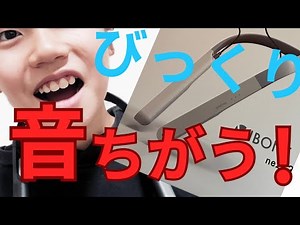 骨伝導集音器「Vibone nezu 3」が届きました