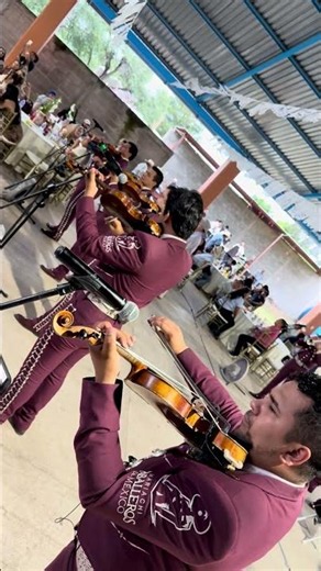Sobre las Olas | Juventino Rosas | Caballeros de México