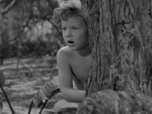 Tiger fighting in Tarzan ' s film