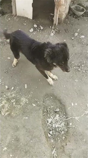 8 марта 2026 г.