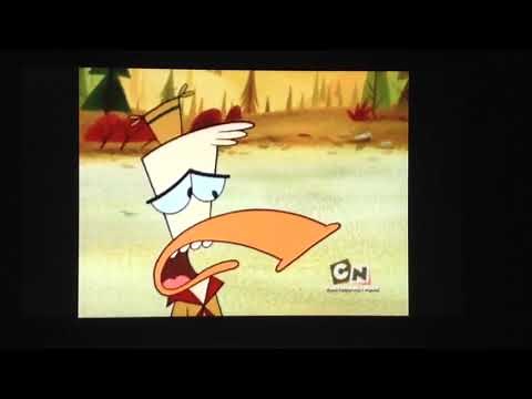 Camp lazlo the list
