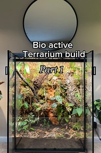 89K views · 3.1K reactions | Part 1: Creating the backdrop of a...