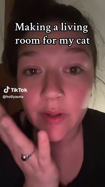 Cat Living Room Ideas: Creating a Cozy Space for Your Feline Friend