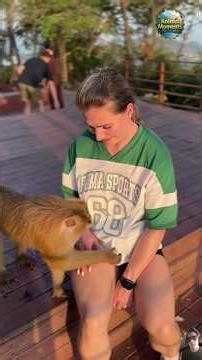 These 18 Animal Reactions Are Too Funny to Miss 🐶🐱