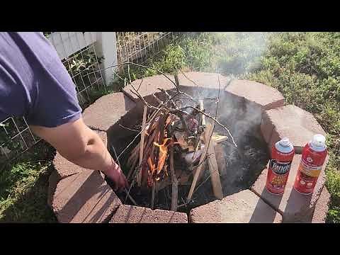 First Alert "EZ Fire Spray" Disposable Kitchen Fire Extinguisher (AkA First Alert "Tundra")