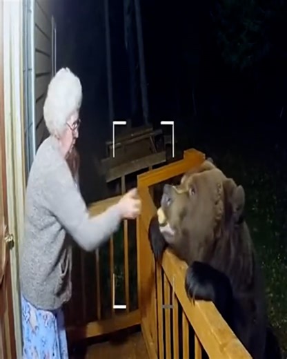 Grandma has some explaining to do... 👀🐻😳 #funny #bear | Lessons Learned In Life