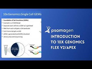 Introduction to 10x Genomics Flex v2/Apex