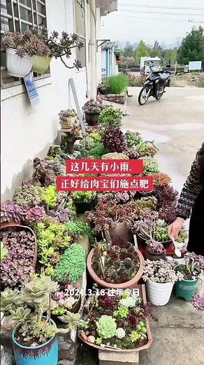 Top 10 Must-See Chinese Skyscrapers: A Visual Tour