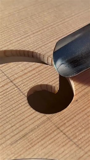 #diy #amazing | Animal Traps