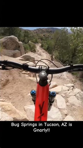 Bug Springs, Mt. Lemmon