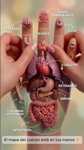 Reflexología: El mapa del cuerpo en tus manos ✋#bienestar #relajación