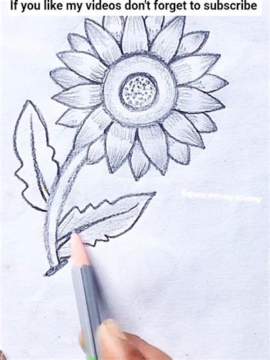 EASY SUNFLOWER🌻 DRAWING//STEP BY STEP//#art #painting #drawing #shorts