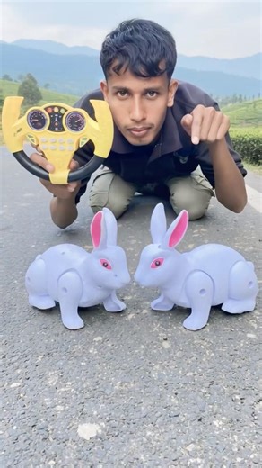 Mini 2ta rabbit remote control natun Unboxin #shortsfeed