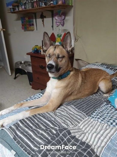 Django singing Afroman Because I got High