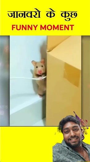 Animal ka gajab Karname part-2😂#funny #shorts #animals