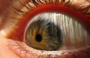 I spy with my bionic eye: slideshow of 2010's most brilliant scientific breakthroughs