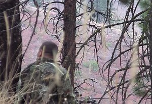 Video: Elk Bowhunters Face Off with 2 Wolf Packs in Montana Wilderness | OutdoorHub