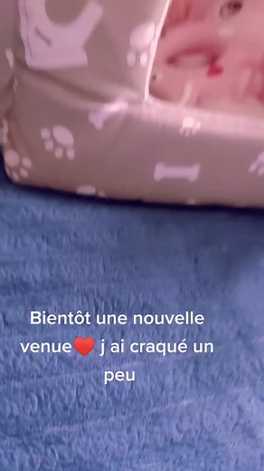 Vidéos de 💫Bérengère💫 (@berengere62goidin) avec Made You Look - Meghan Trainor